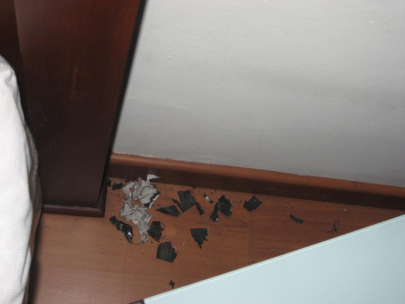 Illustration for article titled Pics: Exploding Cellphone?